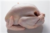 Click to view Whole Turkey Pulet (may be frozen)